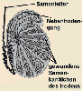 Schema der Hodenkanle