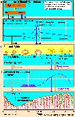 Schema der komplexen Vorgnge eines Monatszyklus