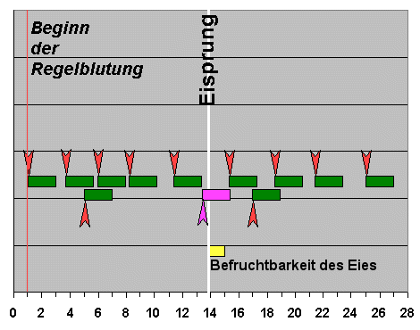 kwfu11.gif (15193 Byte)