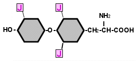 Chemische Formel von Trijodthyronin