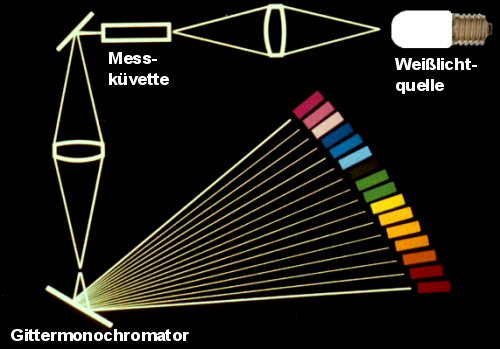 Prinzip des Spektralphotometers