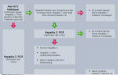 Zum Diagnoseschema Hepatitis C