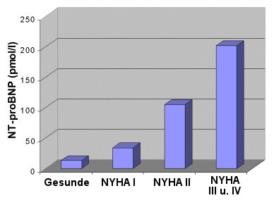 BNPbeiAOStenose.gif (14407 Byte)