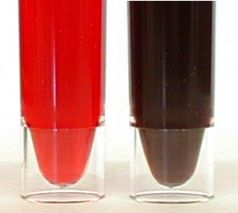 Hmoglobin und Methmoglobin