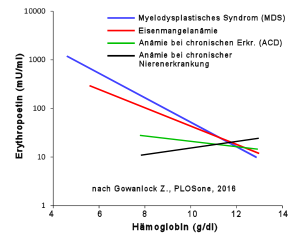 Erythropoetin bei verschiedenen Anaemieformen, Gowanlock Z., 2016