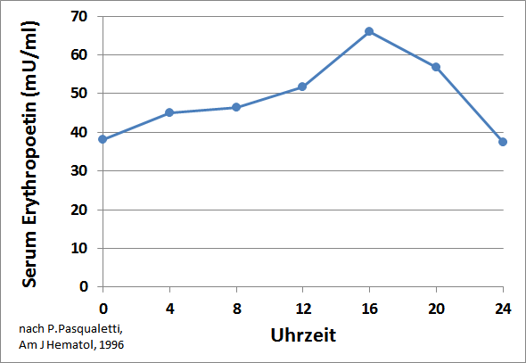 Erythropoetin Tagesrhythmus nach Pasqualetti P., 1996