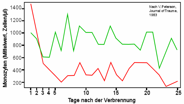 Monozyten im Blut nach Verbrennung