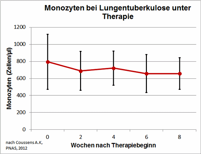 Monozyten bei Tuberkulose