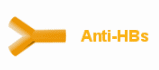 Anti-HBs-Antikrper
