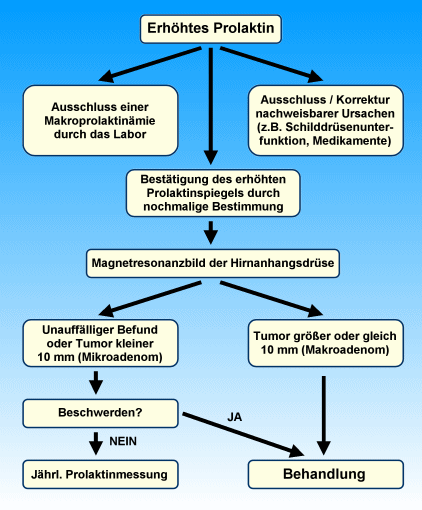 Vorgehen bei erhhtem Prolaktin