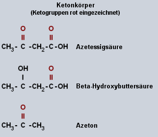 ketonkoerper.gif (7415 Byte)