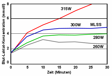 Dauerbelastungstest: Laktatspiegel im Blut bei verschiedenen Belastungsintensitten