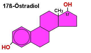 Östradiol gehört zu den sog. Steroidhormonen, die alle eine ähnliche chemische Struktur mit 4 Kohlenstoffringen haben.