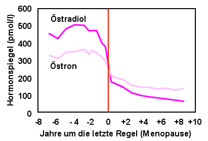 Im Klimakterium sinken stradiol- und stronspiegel im Blut ab. stron sinkt aber nicht so stark.