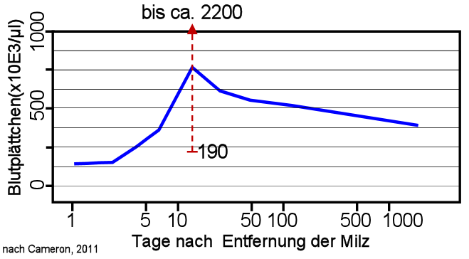 Blutplttchen nach Milzentfernung