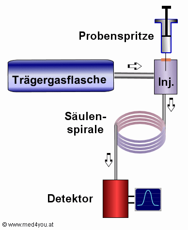 Schema eines Gaschromatographen