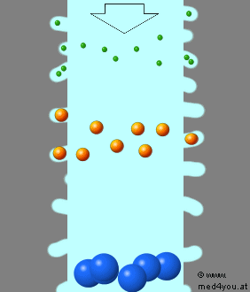 Schema des Molekl-Sieb Effekts