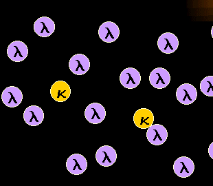 Lambda-monoclonal B-cells