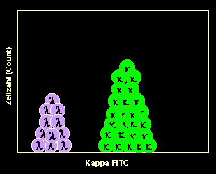 Kappa-FITC-gefrbte B-Zellen in der Histogrammdarstellung