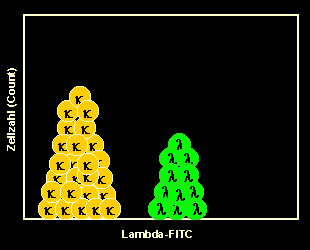 Lambda-FITC-gefrbte B-Zellen in der Histogrammdarstellung