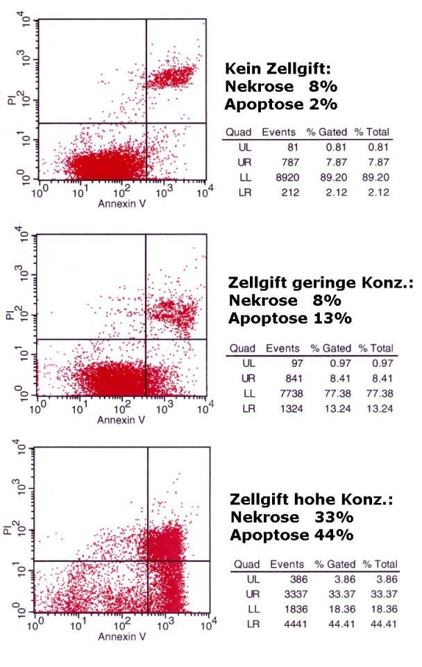 Beispiele