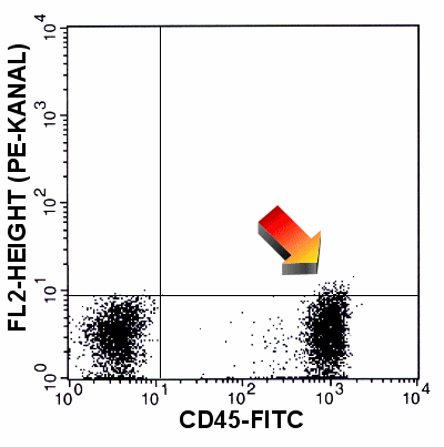 cd45_komp_ok.gif (16211 Byte)