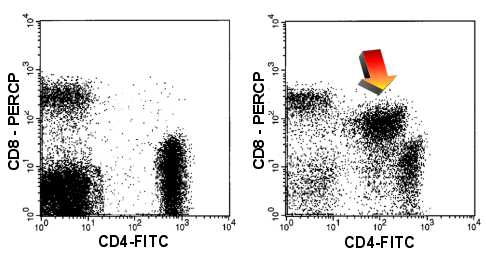 Dot plot