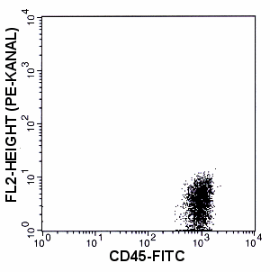 lymph_pop_mit_cd45.gif (8057 Byte)