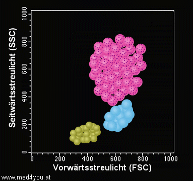 Streulicht-Diagramm (Scatter-Dot-Plot) Schema