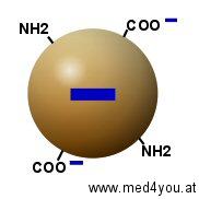 Negativ geladenes Protein