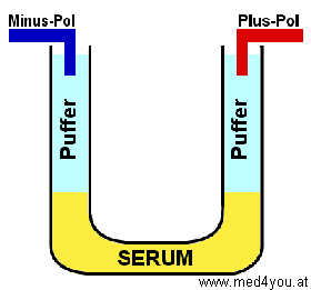 Freie Elektrophorese in Glas-U-Rohr