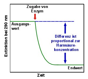 Aus Ausgangs- und Endwert kann man die Harnsurekonzentration berechnen