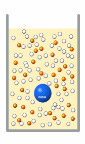 Das Enzym hat das Substrat telweise zum Produkt umgewandelt (orangene Kugeln).