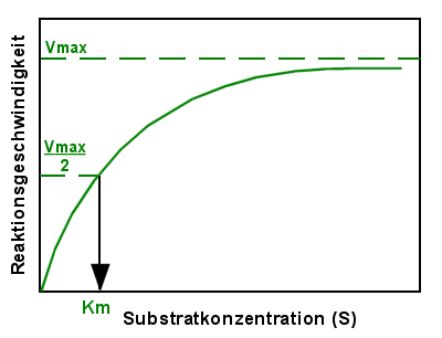 Michaelis-Menten-Graph mit eingezeichneter Michaelis-Konstante