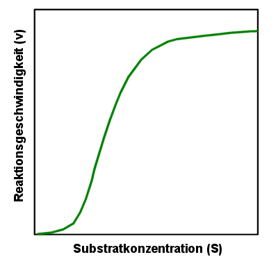 Sigmoide Enzymkinetiken kommen im Stoffwechsel nicht selten vor