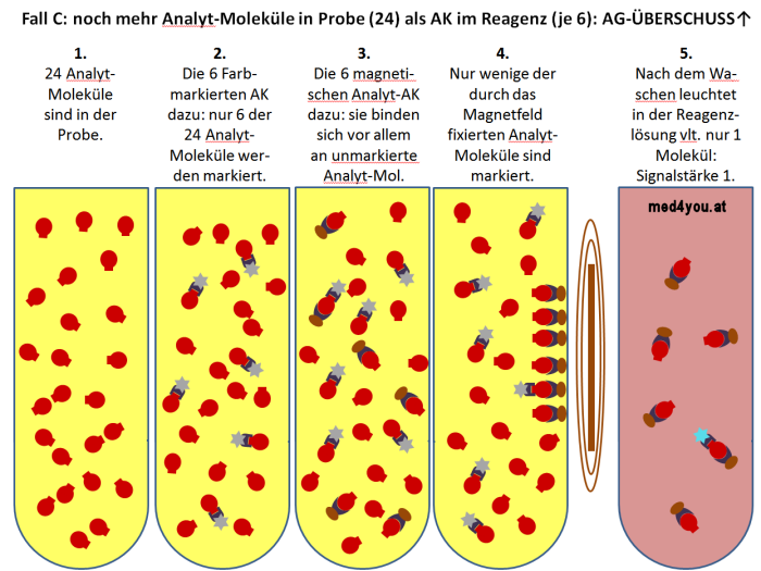 Sandwich Immunoassay: Starker Antigenberschuss