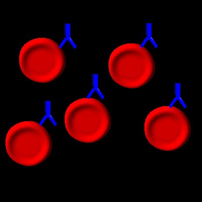 "IgG"-Antikrper binden an rote Blutkrperchen, eine Verklumpung ist jedoch nicht mglich