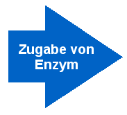 Als Hilfstoff wird dem Reaktionsansatz Enzym zugegeben